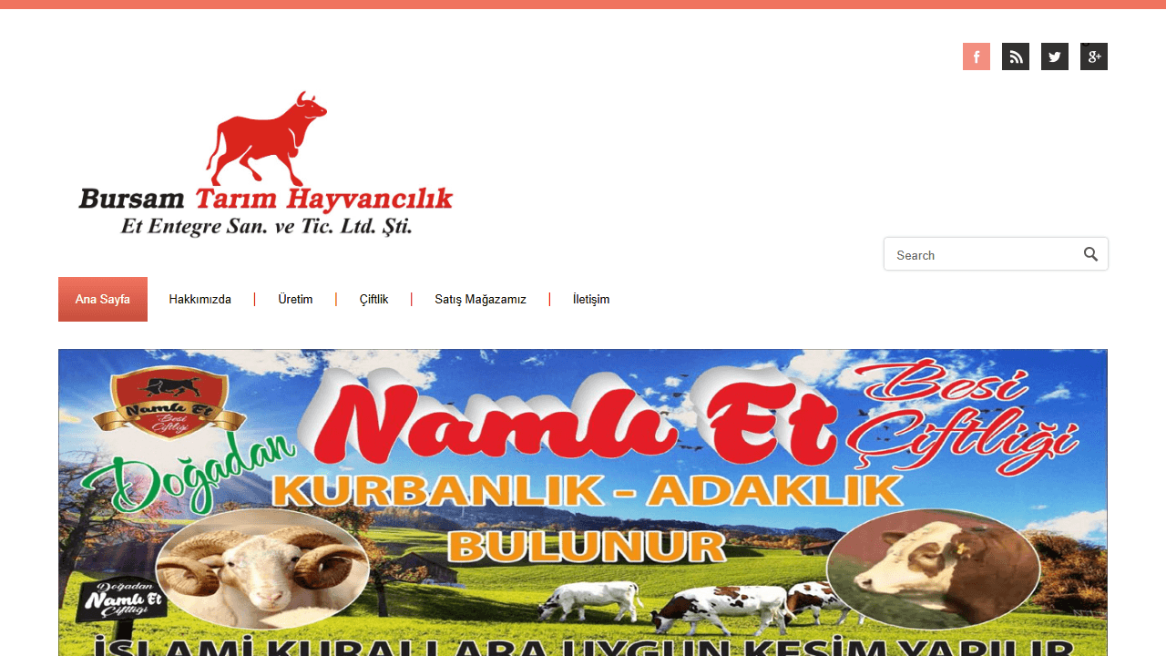 Bursam Et web sitesi