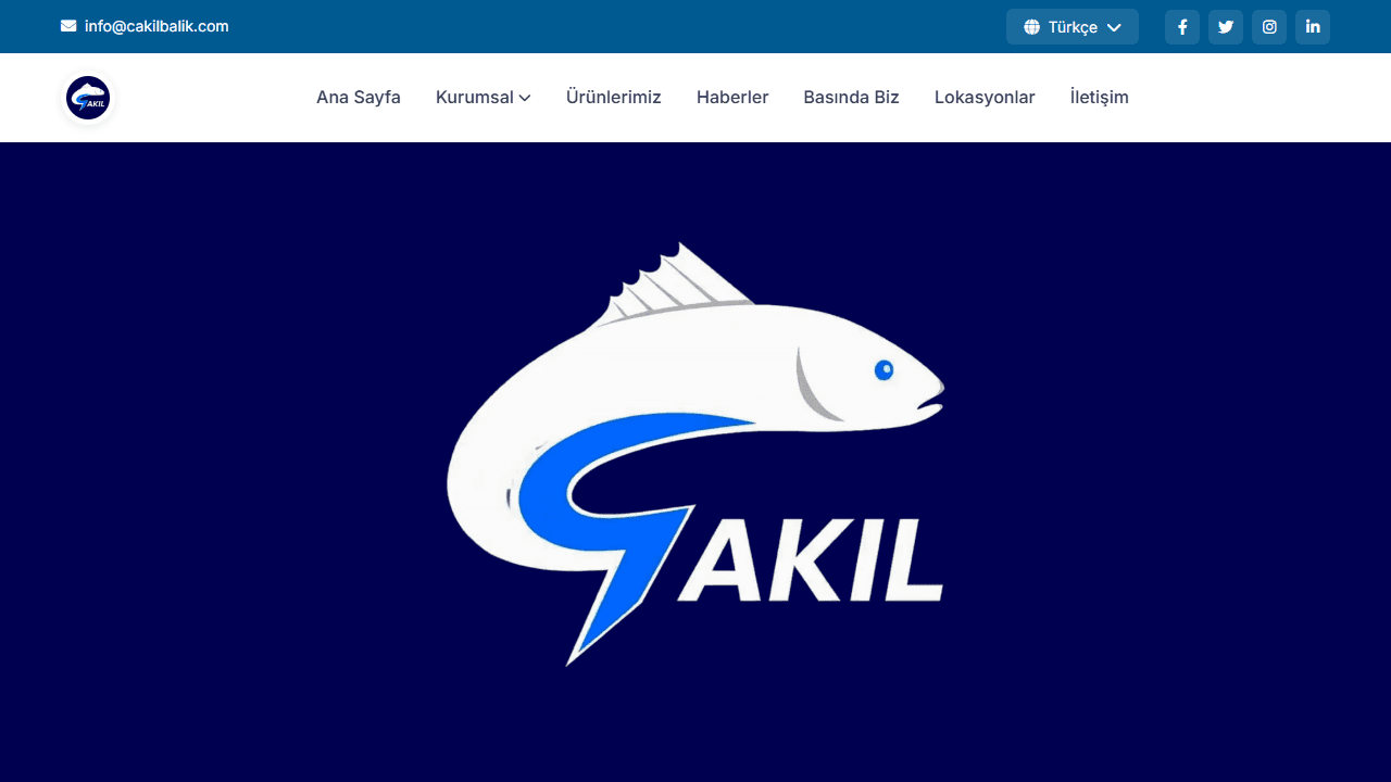 Çakıl Balık web sitesi