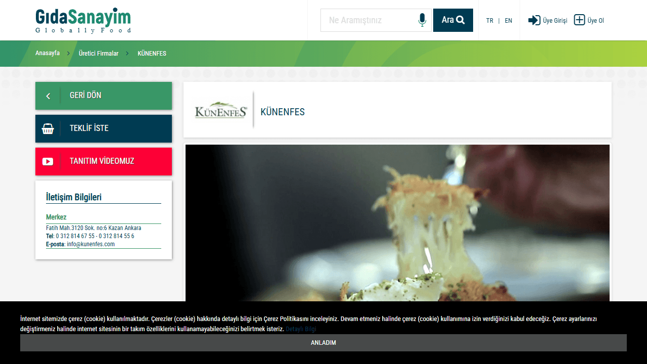 Künenfes web sitesi